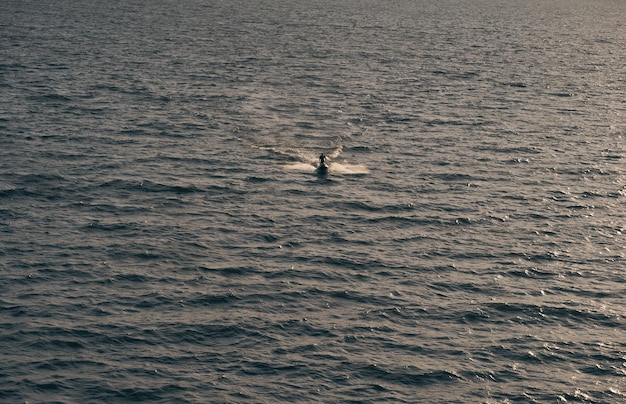 Montar en una moto de agua en el mar