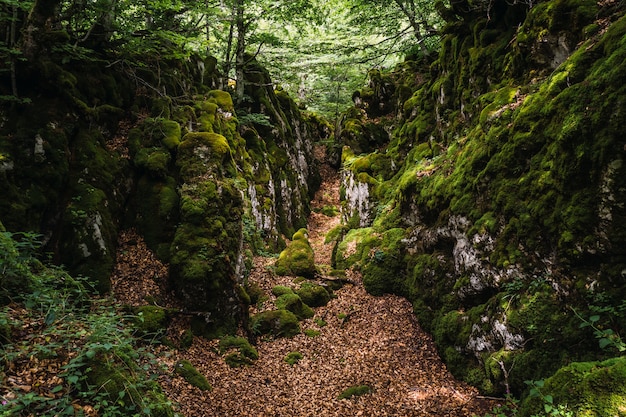 Monte Aizkorri, Guipúzcoa.