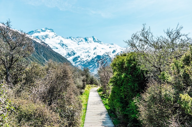 Monte Aoraki Cook, la montaña más alta de Nueva Zelanda