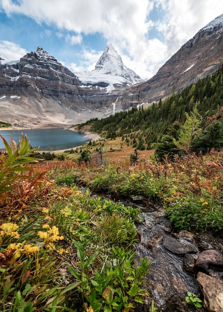 Monte assiniboine com o lago magog no deserto de outono