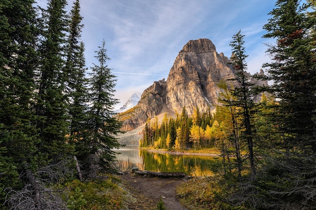 Monte Assiniboine con montañas rocosas en otoño bosque en Sunburst Lake en Provincial Park, Canadá