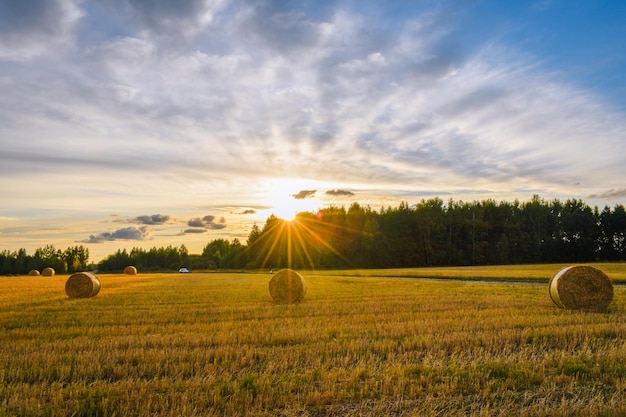 Monte de feno em um campo ao pôr do sol