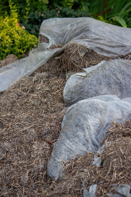 Foto monte de fertilizantes compostados a partir de cogumelos foco seletivo