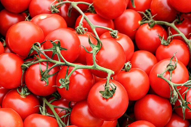 Monte de pequenos tomates vermelhos brilhantes com folhas de videira verde, exibidos no mercado de comida de rua, detalhe de close-up de cima