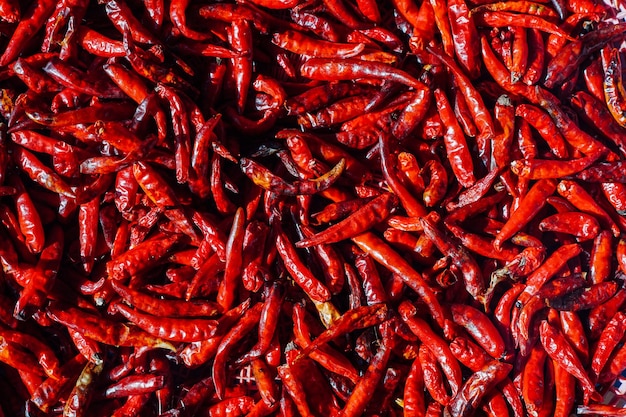 Foto monte de pimentão seco como pano de fundo alimentar