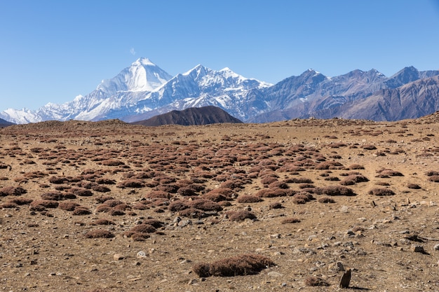 Monte Dhaulagiri e Pico de Tukuche