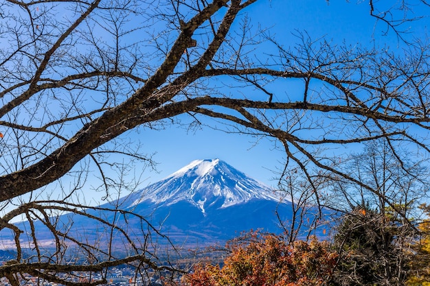 Monte Fuji com árvores em primeiro plano no outono em Kawaguchiko Yamanashi, Japão