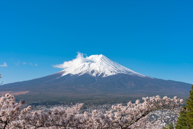 Monte Fuji cubierto de nieve Monte Fuji con fondo de cielo azul oscuro claro en flores de cerezo sakura