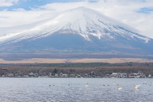 Foto monte fuji de manhã no lago yamanaka com cisne yamanakako japão