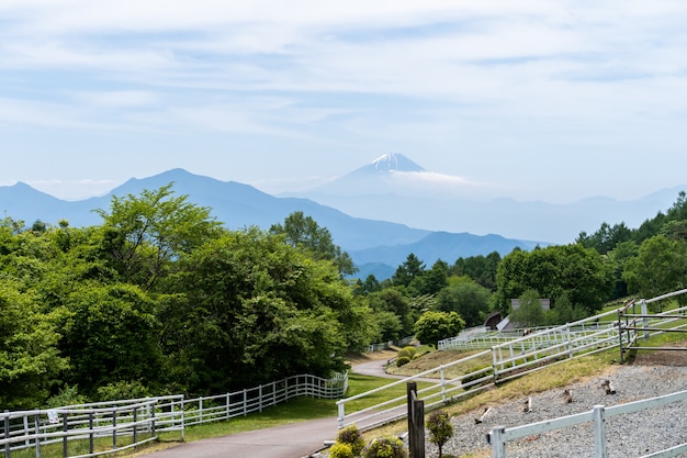 Foto monte fuji, de, parque, com, bonito, natureza