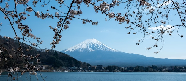 Monte Fuji e cerejeira em flor Sakura Japão na primavera