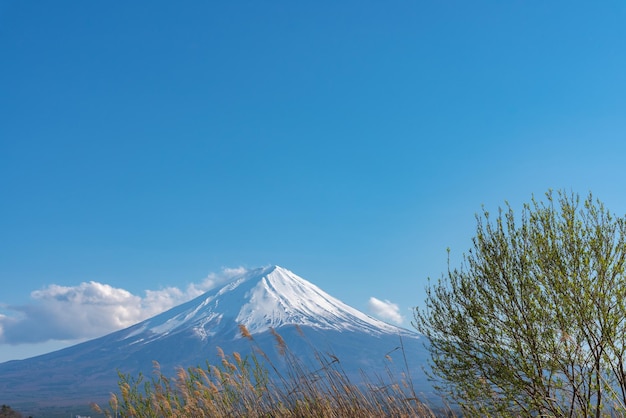 Monte fuji mt fuji sobre o céu azul em um dia ensolarado lake kawaguchiko town fujikawaguchiko yamanashi