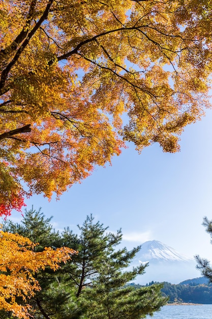 Monte Fuji no outono