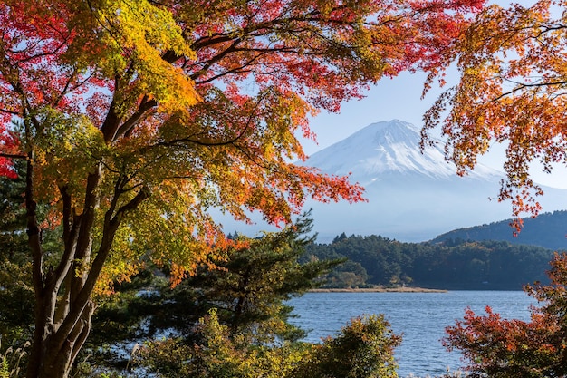 Monte Fuji no outono