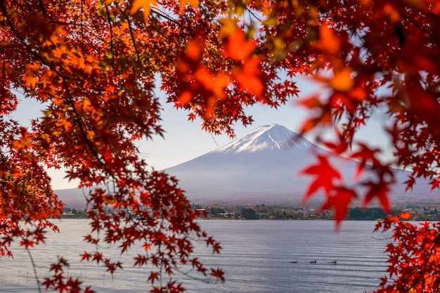 Monte Fuji en otoño con hojas de arce rojas