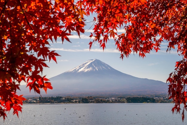 Monte Fuji en otoño con hojas de arce rojo