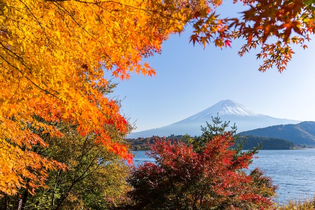 Monte Fuji en otoño