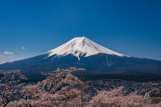 Foto monte fuji en la primavera con flores de cerezo en kawaguchiko fujiyoshida, japón.