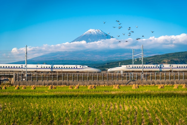 Monte fuji con el tren shinkansen y el campo de arroz en shizuoka, japón.