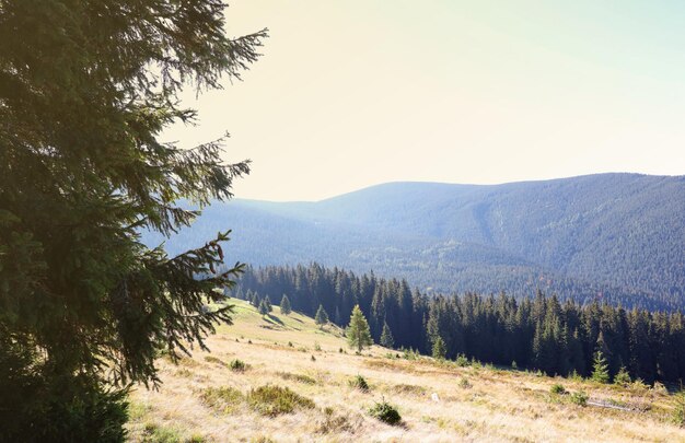 El monte Hoverla, pico colgante de los Cárpatos ucranianos contra el fondo del cielo