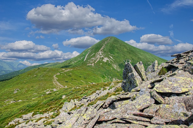 Monte Hoverla pico colgante de los Cárpatos ucranianos con el telón de fondo del cielo y las nubes