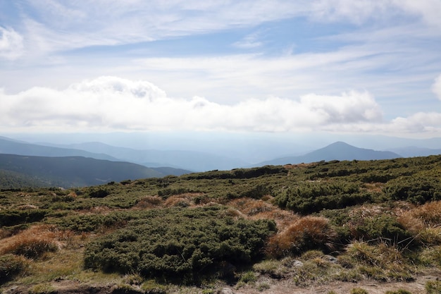 Monte Hoverla pico pendurado dos Cárpatos ucranianos contra o fundo do céu