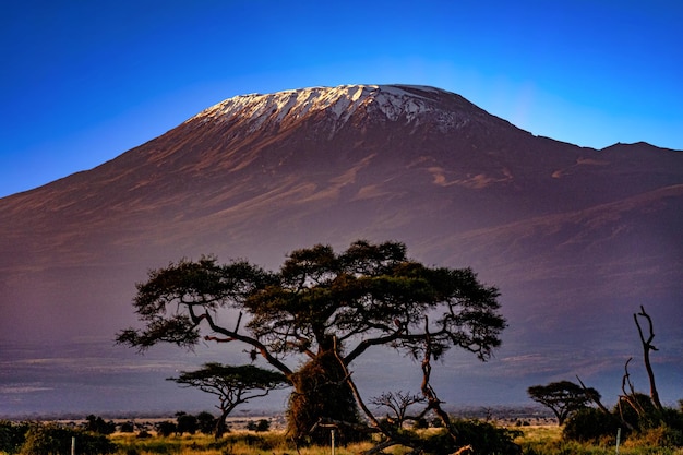 El Monte Kilimanjaro