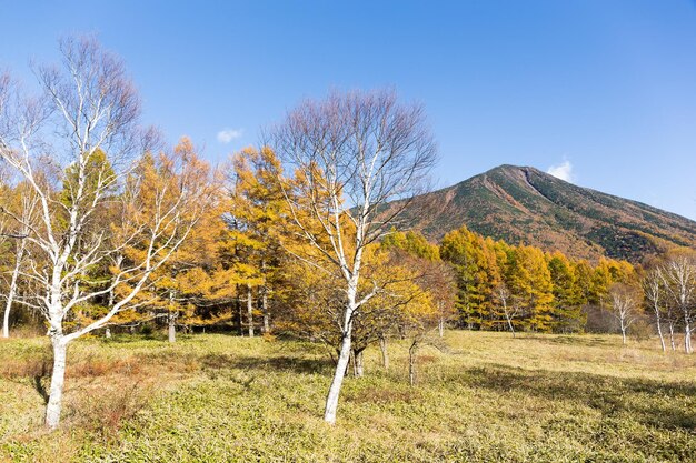 Monte Nantai en Nikko de Japón