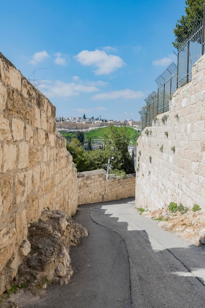 Monte de los Olivos en Jerusalén Israel