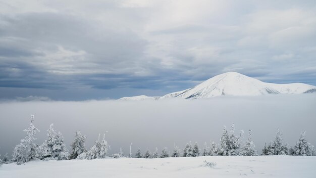 Foto el monte petros ucraniano en los cárpatos de invierno