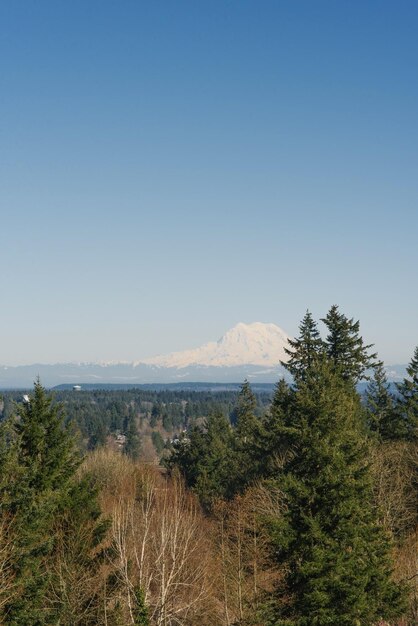 Monte Rainier en la distancia Hermoso paisaje primaveral