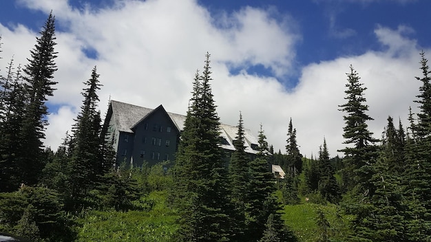 Monte Rainier