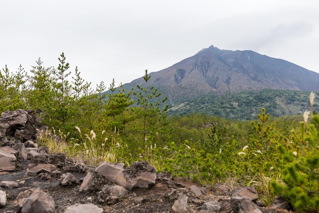 Monte Sakurajima