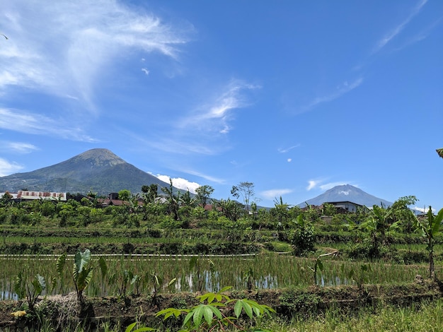 Foto el monte sindoro y sumbing cuando el cielo está despejado