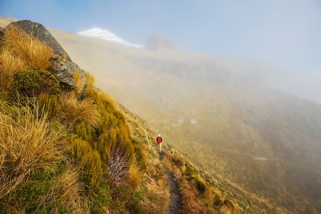 Monte taranaki / monte egmont no parque nacional de egmont, ilha do norte, nova zelândia. lindas paisagens naturais