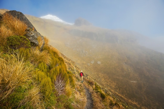 Monte taranaki / monte egmont no parque nacional de egmont, ilha do norte, nova zelândia. lindas paisagens naturais