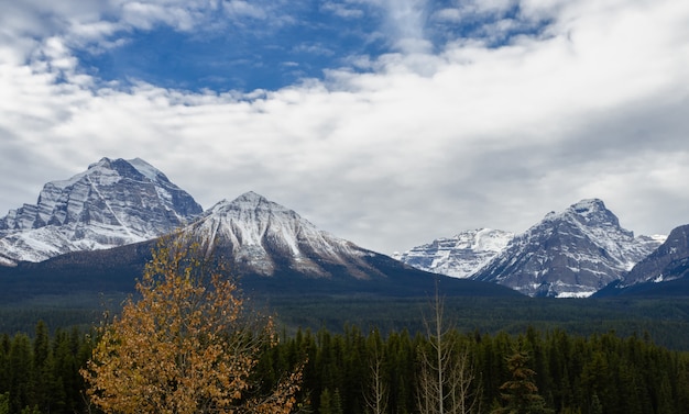 Monte, templo, em, inverno, alberta, canadá