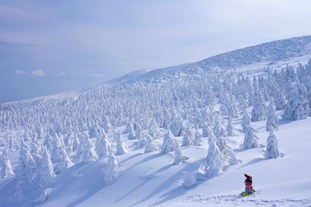 Monte zao no inverno árvores cobertas de neve os moradores chamam de monstros da neve yamagata japão