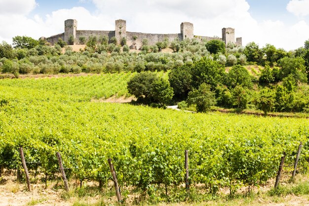 Monteriggioni, Toskana, Italien. Weingut vor den alten mittelalterlichen Mauern