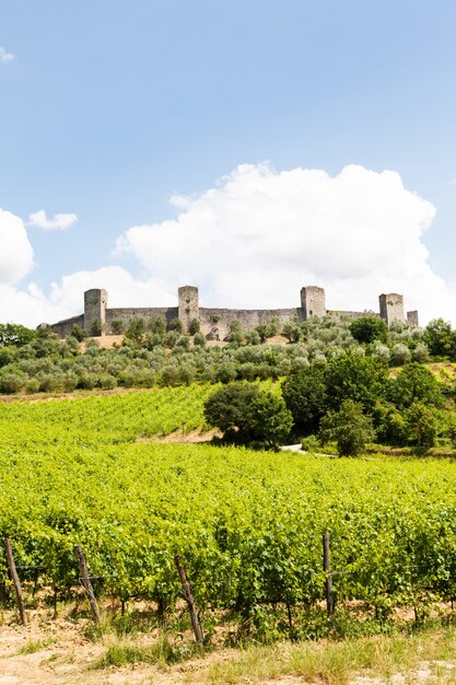 Monteriggioni, Toskana, Italien. Weingut vor den alten mittelalterlichen Mauern