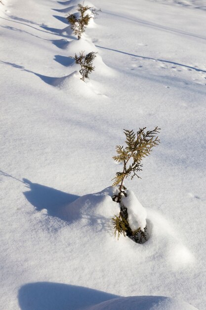 Montes de neve após queda de neve no inverno