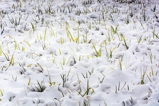 Montes de neve fresca em um campo após uma forte nevasca