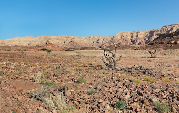 Montieren Sie eine Schraube in Timna Israel