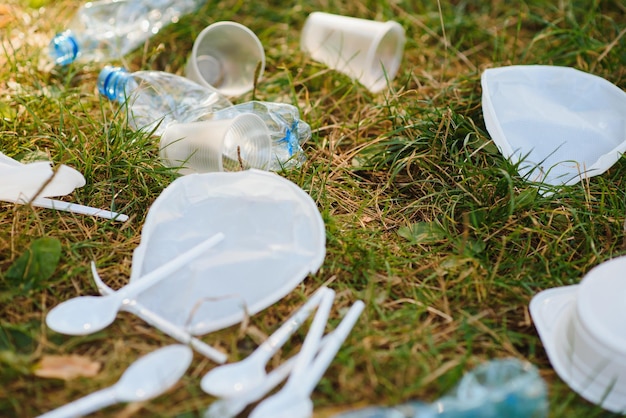 Montón de basura en el borde del bosque del parque de campo sobre fondo de árboles verdes en un día soleado de primavera, plástico ensuciando la vida silvestre con turistas en Europa