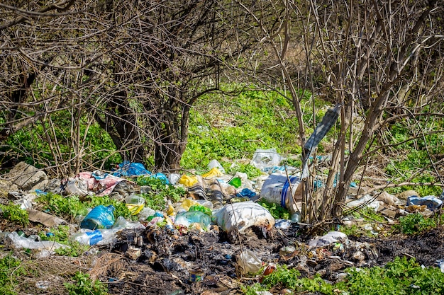 Montón de basura en el bosque bajo los árboles. Contaminación ambiental. Problemas de ecologia