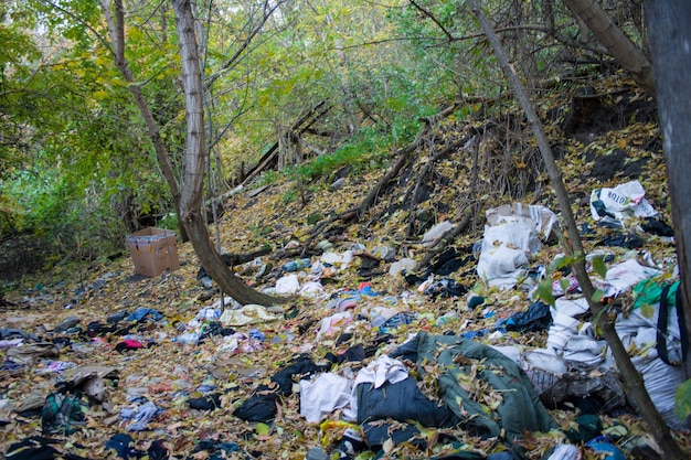 Montón de basura doméstica en el suelo entre árboles verdes.