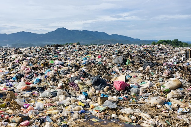 Montón de basura doméstica en vertedero