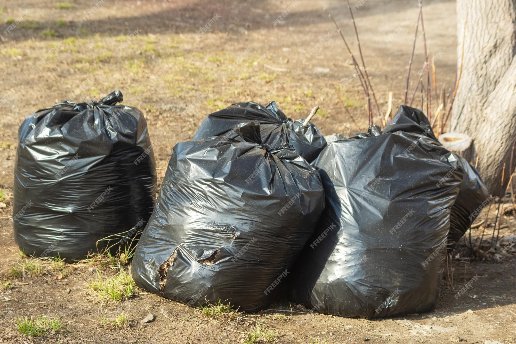 Montón de bolsas de basura de plástico cerca del árbol bolsas de basura en  la calle bolsas de basura negras limpieza del área el concepto de  recolección de basura ecología limpieza ambiental |