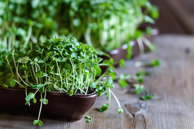 Un montón de brotes en un cuenco marrón en una mesa de madera saludables microverdes cultivados en casa