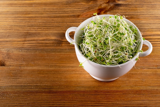 Montón de brotes de trébol rojo, alfalfa y brotes de rábano en tazón de restaurante blanco sobre mesa de madera. Semillas de hortalizas germinadas para alimentos de dieta cruda, concepto de alimentación saludable micro verde